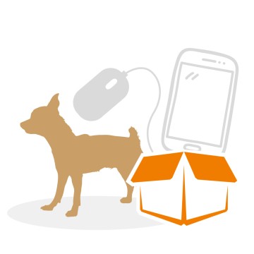 beziehungskiste-hundeschule-onlinekiste-1